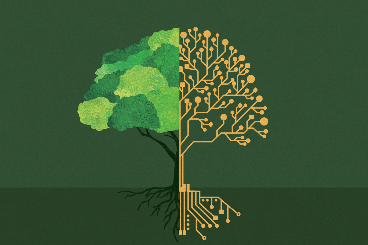 Does Artificial Intelligence Help Our Environment?