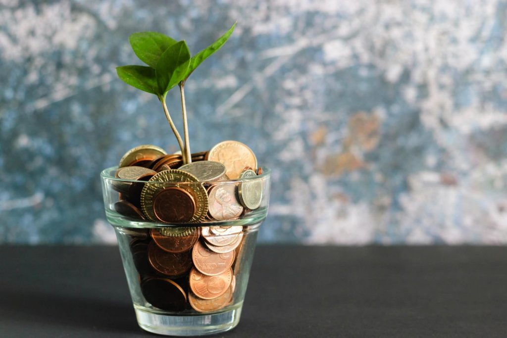 Is Sustainability Unaffordable, for Both Regular People and Companies?
